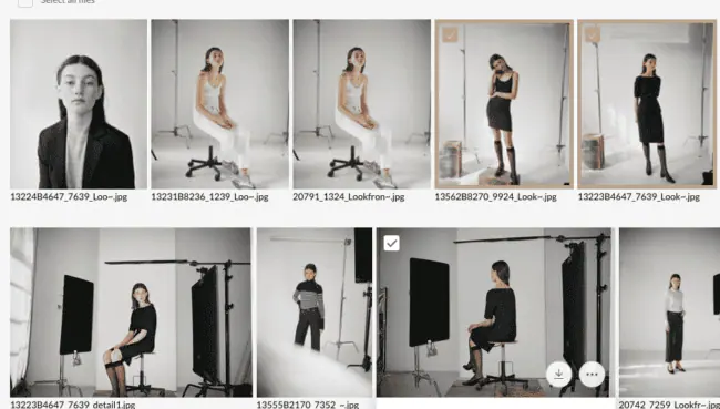 Lookbook funktion i Kontainer DAM System (Digital Asset Management)