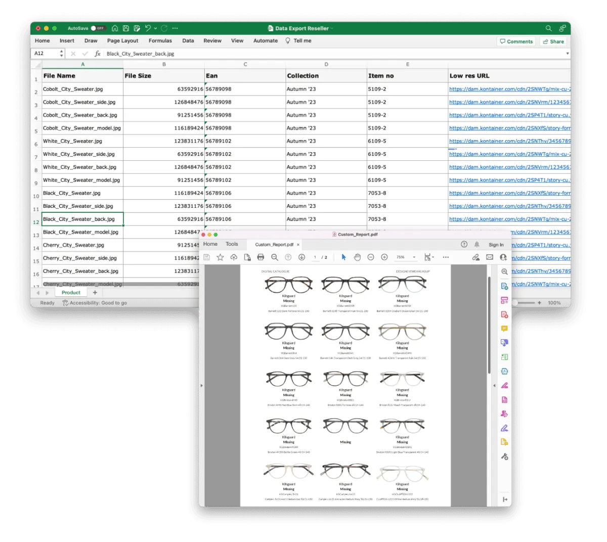 Examples of Kontainer Data Export & Custom Reports