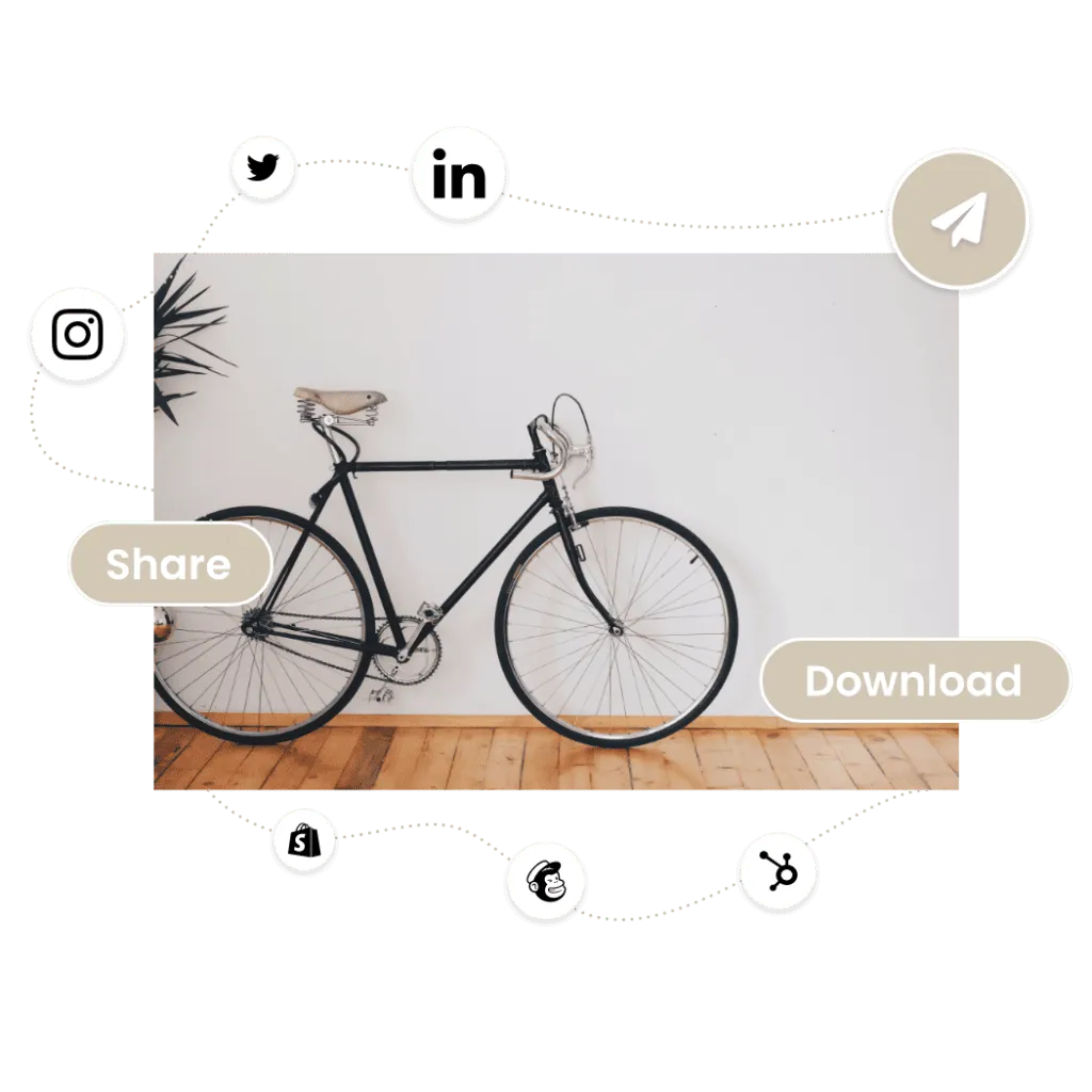 DAM integrations to Canva, Adobe Creative Cloud and Microsoft Office 365
