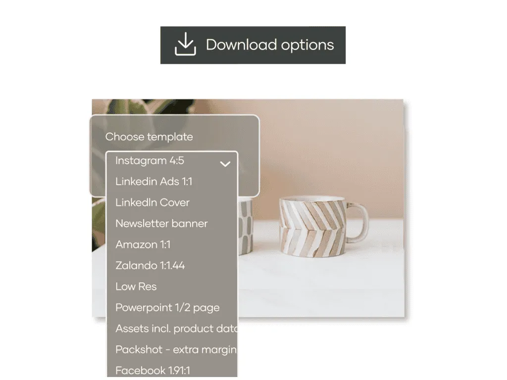 Download auto conversion of images in DAM