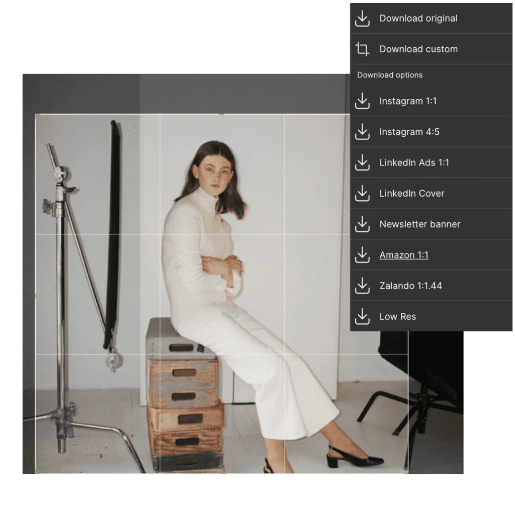 Fashion Solution_Sidekick_crop Image with download template menu from Kontainer formatting studio