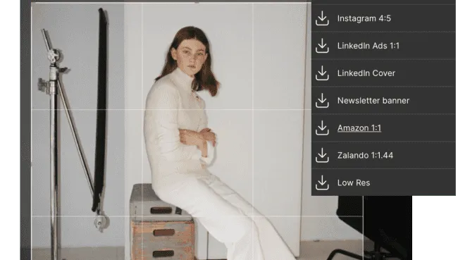 Fashion Solution_Sidekick_crop Image with download template menu from Kontainer formatting studio