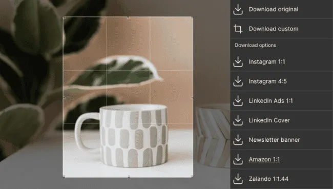 Custom download options in Kontainer