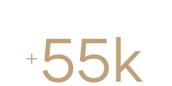 Gehl Kontainer DAM_Stats 55k